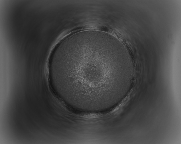 X0000095930198200801111302