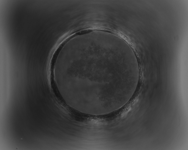 X0000095930199200801111302