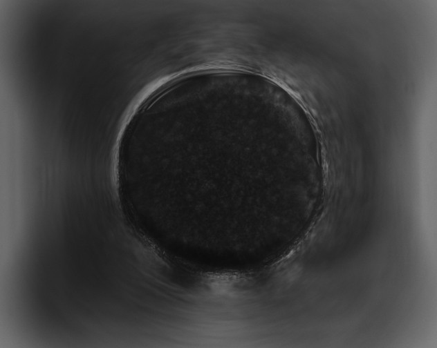 X0000095930200200801111302