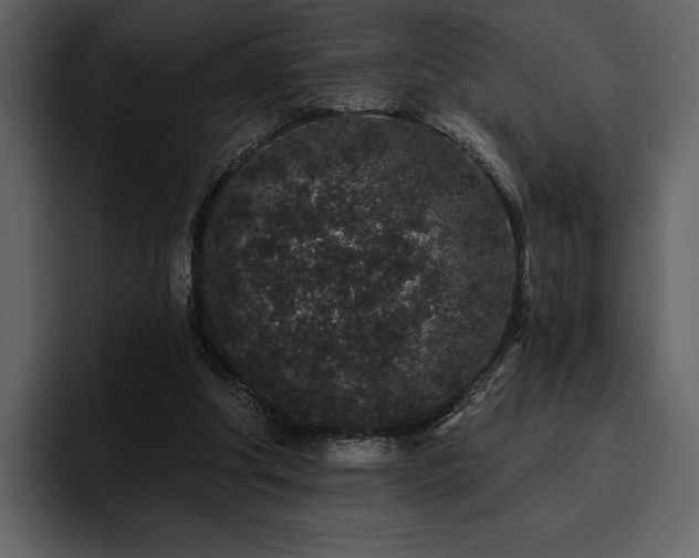 X0000095930202200801111302