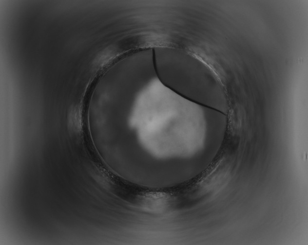 X0000095930203200801111302