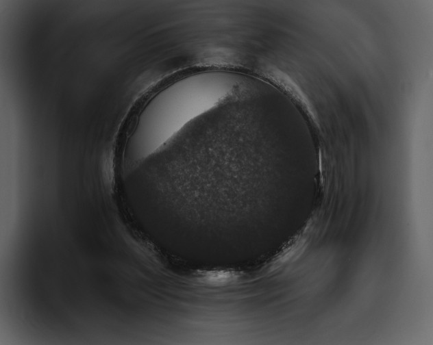 X0000095930204200801111302