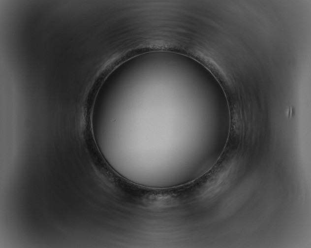 X0000095930208200801111301