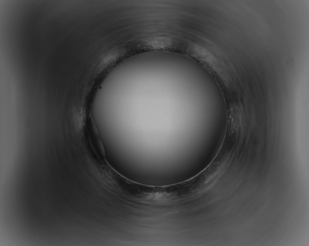 X0000095930212200801111301