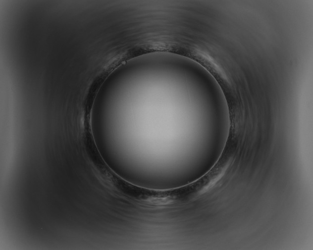 X0000095930213200801111301
