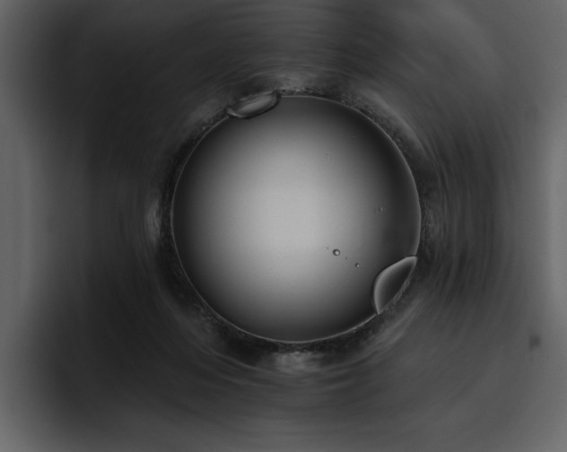 X0000095930216200801111301