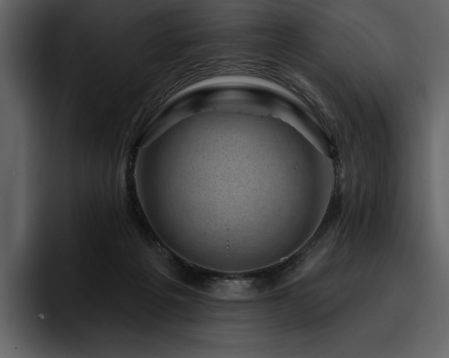 X0000095930217200801111301
