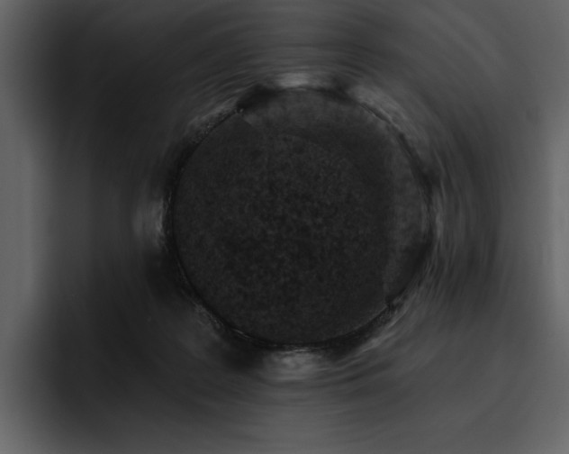 X0000095930219200801111301