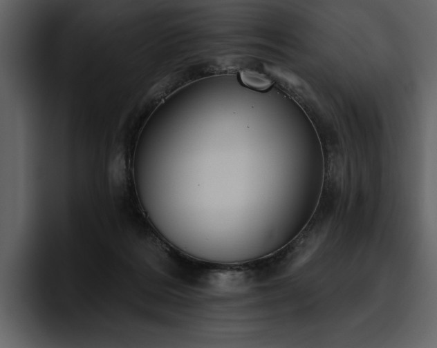 X0000095930220200801111301