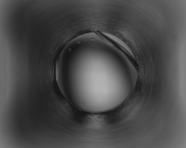 X0000095930221200801111301