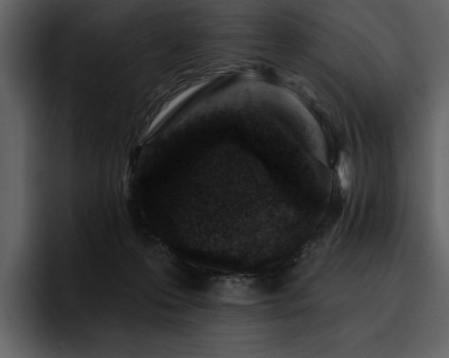X0000095930223200801111301