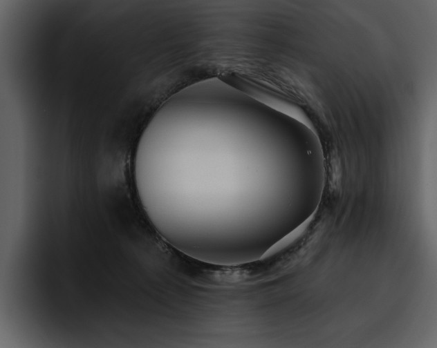 X0000095930225200801111301