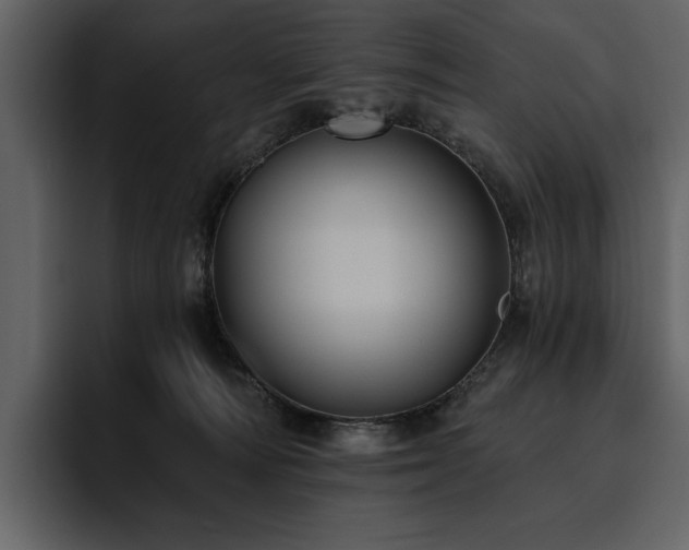 X0000095930226200801111301