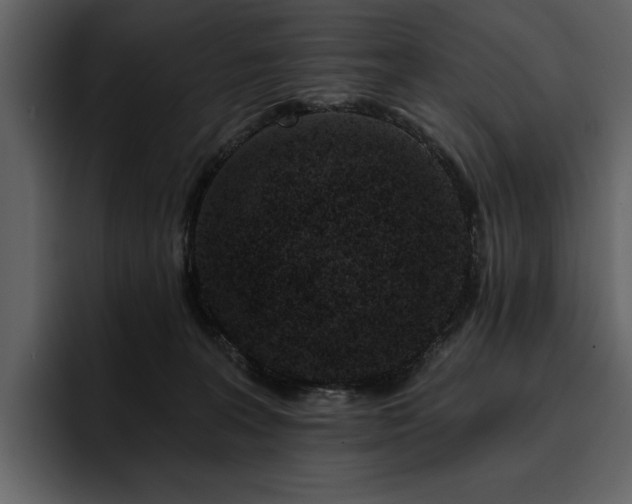 X0000095930227200801111301