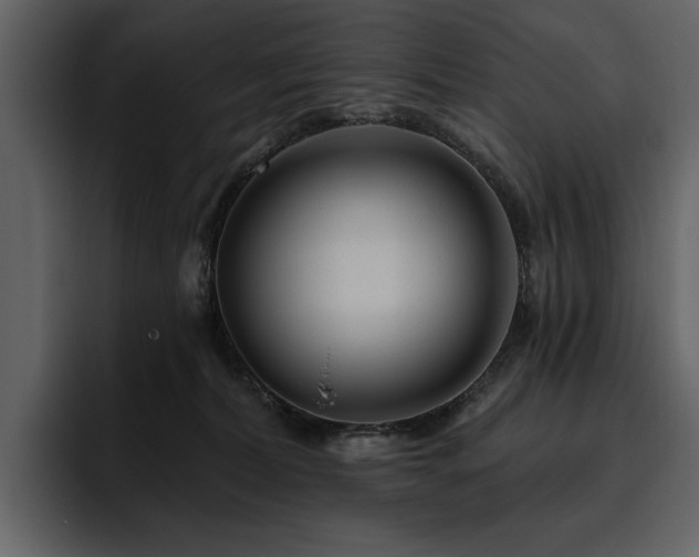 X0000095930228200801111301