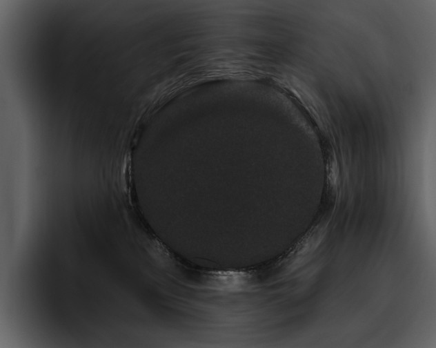X0000095930233200801111301