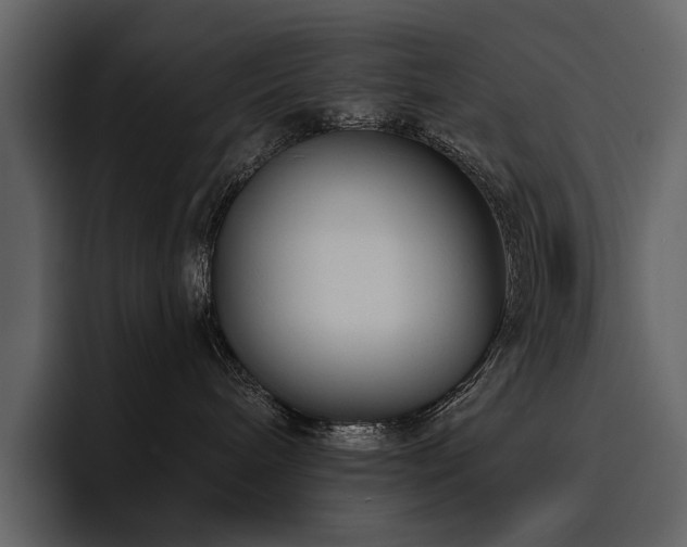 X0000095930240200801111301