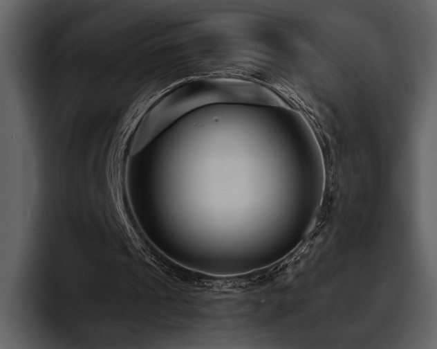 X0000095930241200801111300