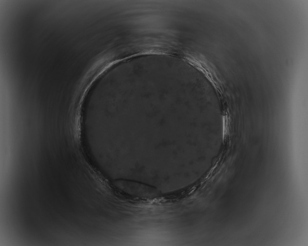 X0000095930243200801111300
