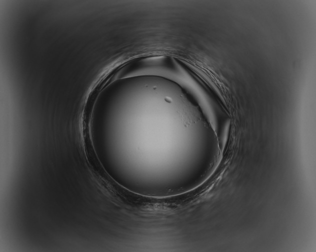 X0000095930244200801111300