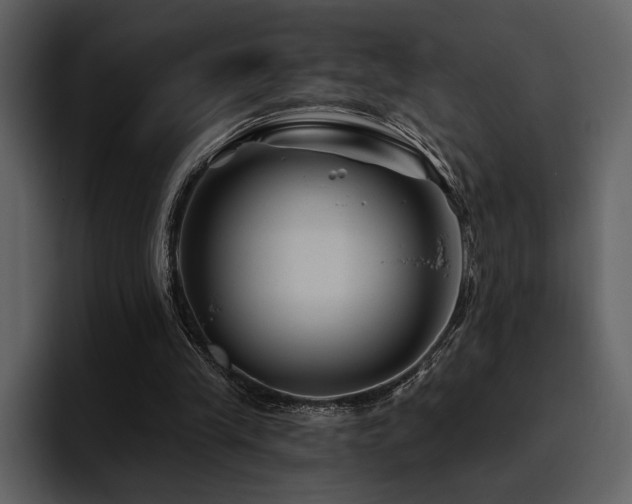 X0000095930245200801111300