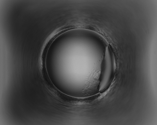 X0000095930246200801111301