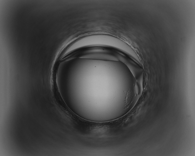 X0000095930248200801111301