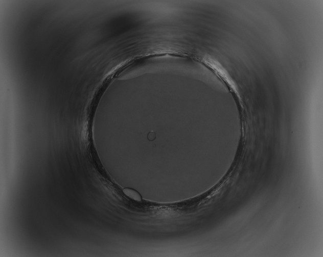 X0000095930249200801111301
