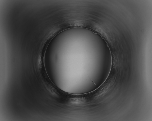 X0000095930251200801111301