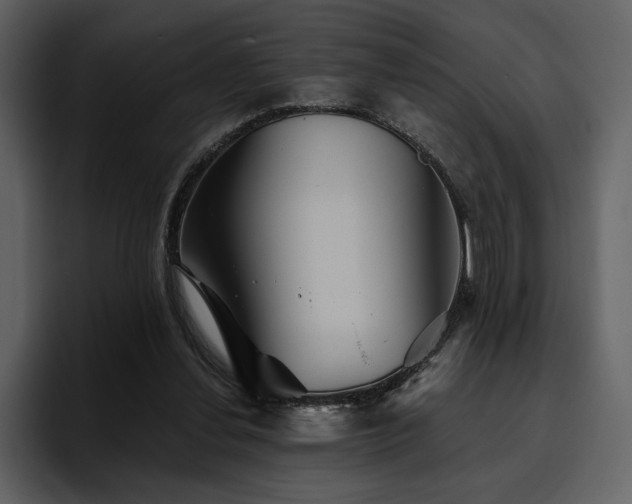 X0000095930252200801111301