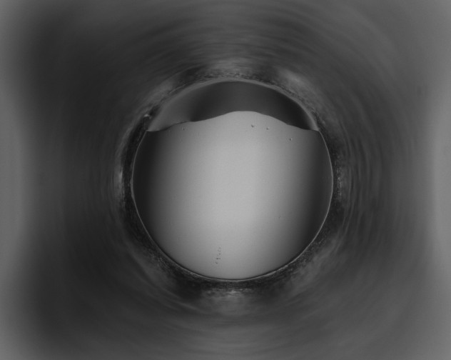 X0000095930254200801111301