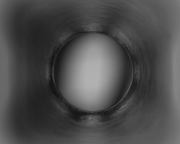 X0000095930255200801111301