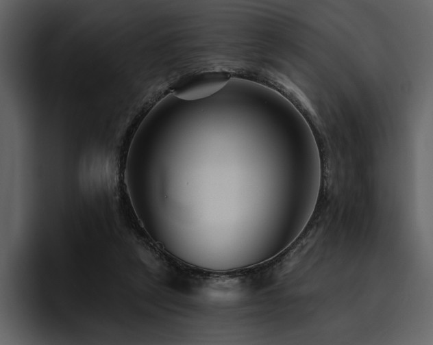 X0000095930257200801111301