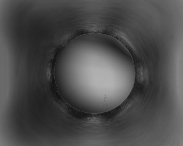 X0000095930259200801111301