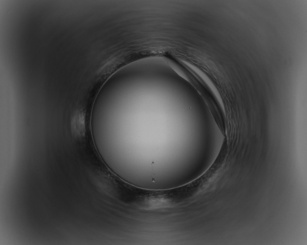 X0000095930262200801111301