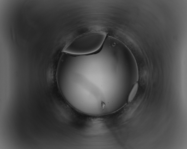 X0000095930268200801111301