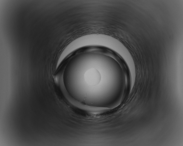 X0000095930276200801111301