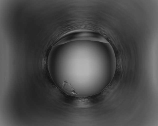 X0000095930278200801111301