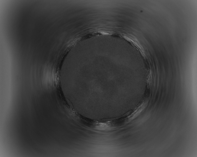 X0000095930285200801111301