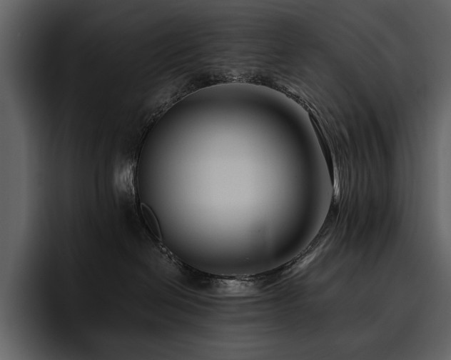 X0000095930286200801111301