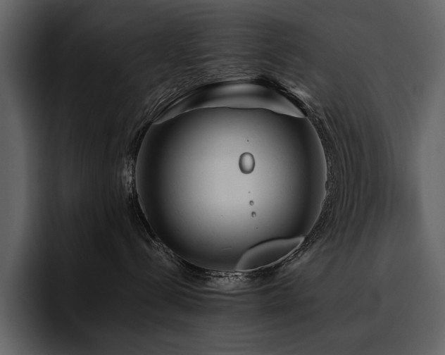 X0000095930288200801111301
