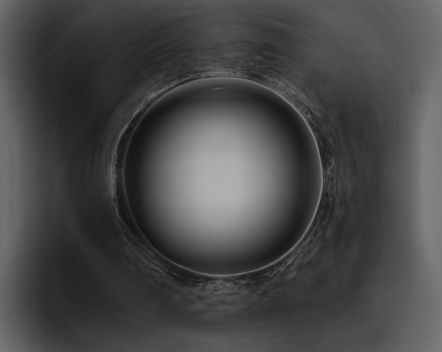 X0000095930290200801111300