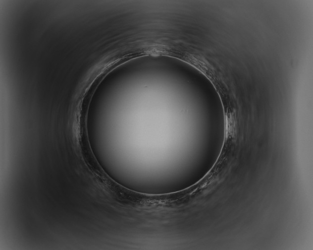 X0000095930291200801111300