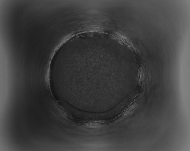 X0000095930292200801111300