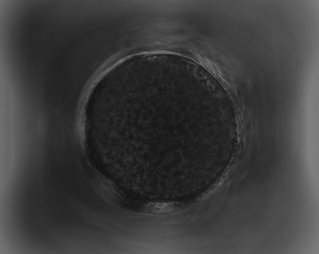 X0000095930295200801111300