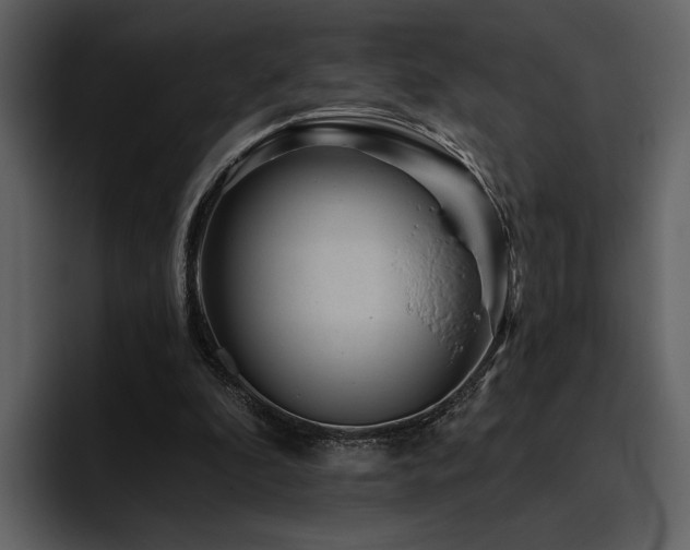 X0000095930296200801111300