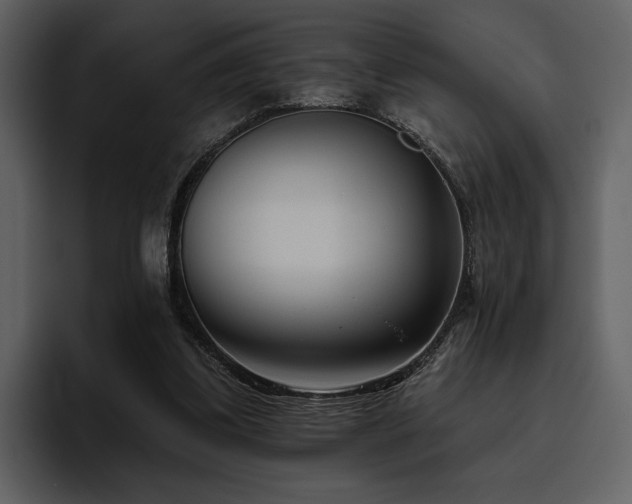 X0000095930299200801111300