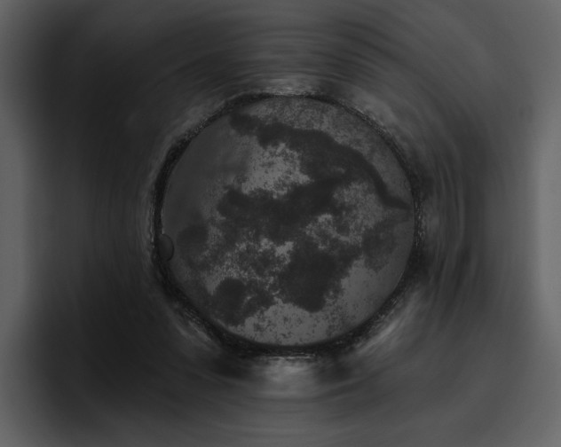 X0000095930303200801111300