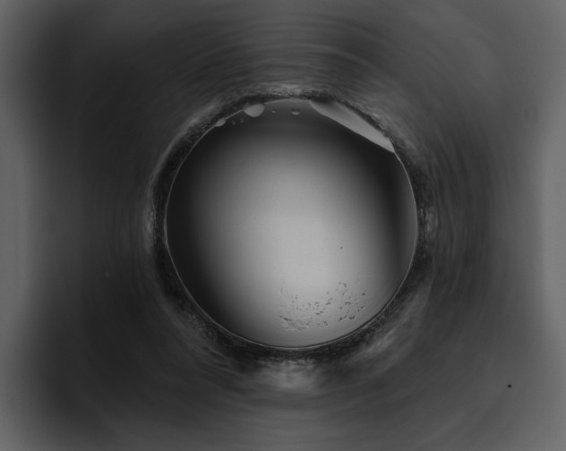 X0000095930304200801111300