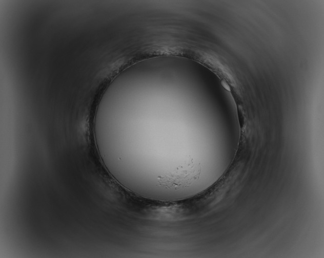X0000095930306200801111300